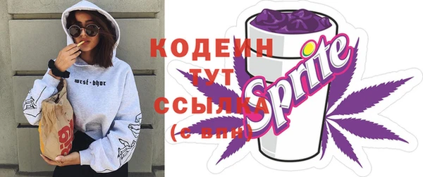 apvp Дмитриев