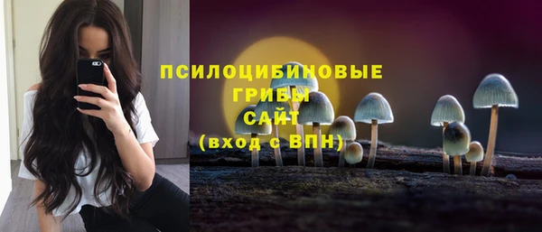 apvp Дмитриев