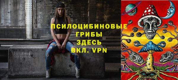 спайс Дмитров