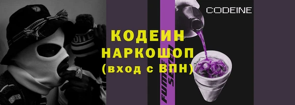 ECSTASY Елизово