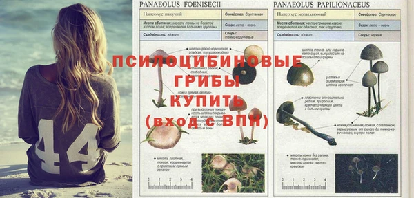 ALPHA PVP Дмитровск