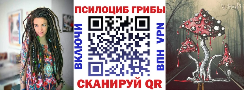 Псилоцибиновые грибы прущие грибы  Купить  Хадыженск 
